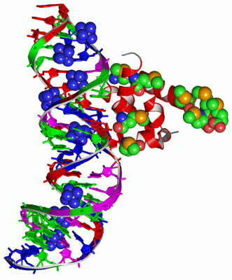 Image Asym./Biol. Unit - manually