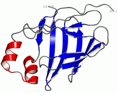 Image NMR Structure - manually