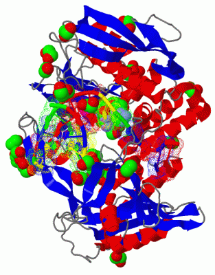 Image Biol.Unit 1 - manually