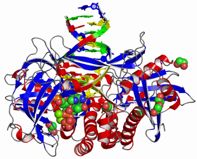 Image Asym./Biol. Unit - manually