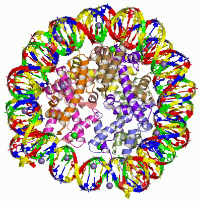 Image Asym./Biol. Unit - manually