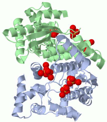 Image Biol.Unit 1 - manually