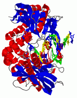 Image Biol.Unit 1 - manually