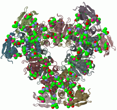Image Biol.Unit 1 - manually