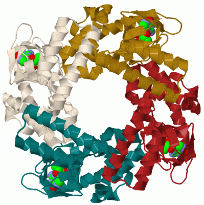 Image Biol.Unit 1 - manually