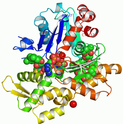 Image Asym./Biol. Unit - manually