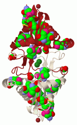 Image Biol.Unit 1 - manually