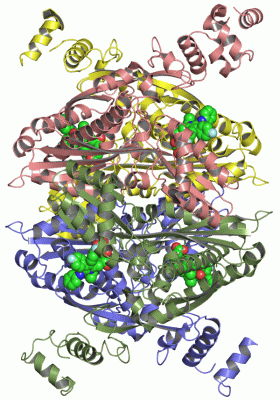 Image Asym./Biol. Unit - manually