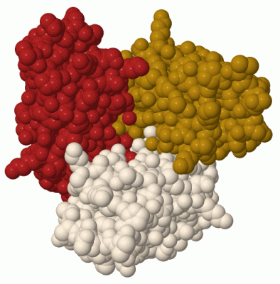 Image Biol.Unit 1 - manually