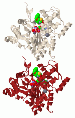 Image Biol.Unit 1 - manually