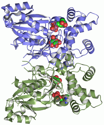 Image Asym./Biol. Unit - manually