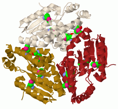 Image Biol.Unit 1 - manually