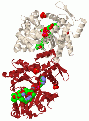 Image Biol.Unit 1 - manually