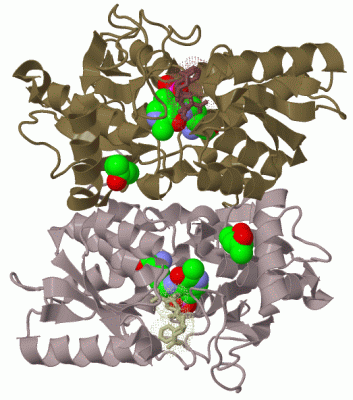 Image Biol.Unit 1 - manually