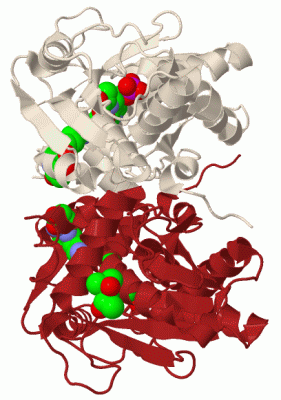 Image Biol.Unit 1 - manually