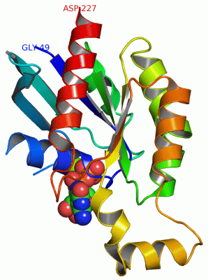 Image Asym./Biol. Unit - manually