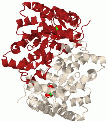 Image Biol.Unit 1 - manually