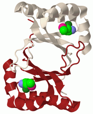 Image Biol.Unit 1 - manually