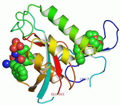 Image Asym./Biol. Unit - manually