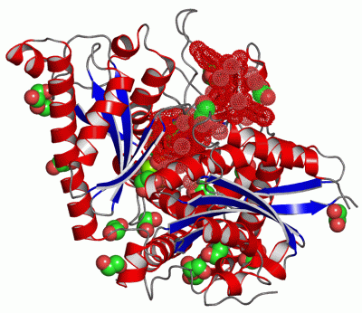 Image Asym./Biol. Unit - manually