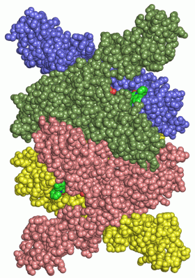 Image Asym./Biol. Unit - manually