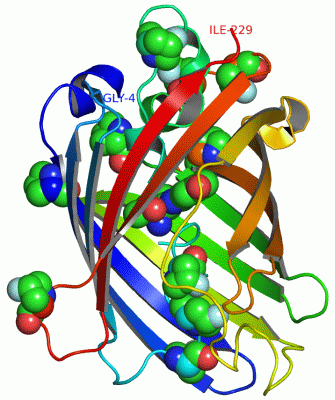 Image Asym./Biol. Unit - manually