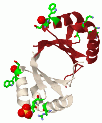 Image Biol.Unit 1 - manually