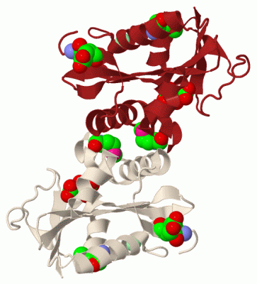 Image Biol.Unit 1 - manually