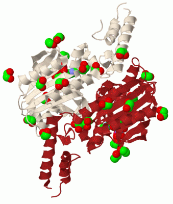 Image Biol.Unit 1 - manually