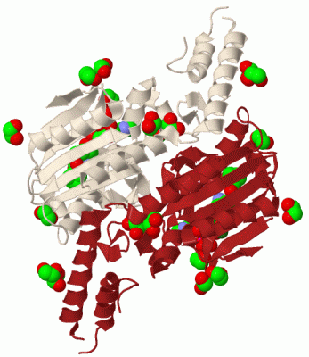 Image Biol.Unit 1 - manually