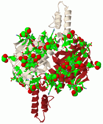 Image Biol.Unit 1 - manually