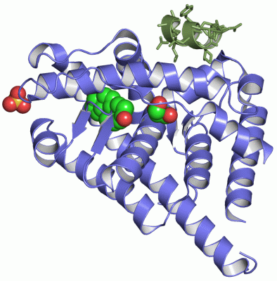 Image Asym./Biol. Unit - manually