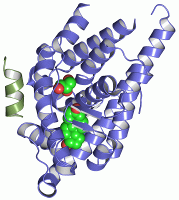 Image Asym./Biol. Unit - manually