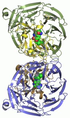 Image Asym./Biol. Unit - manually