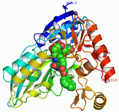 Image Asym./Biol. Unit - manually