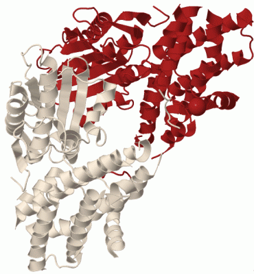 Image Biol.Unit 1 - manually