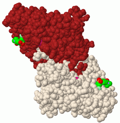 Image Biol.Unit 1 - manually