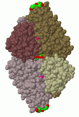 Image Biol.Unit 1 - manually