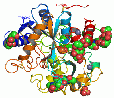 Image Asym./Biol. Unit - manually