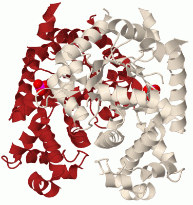 Image Biol.Unit 1 - manually