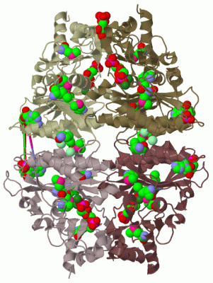 Image Biol.Unit 1 - manually