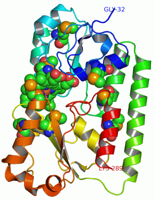 Image Asym./Biol. Unit - manually