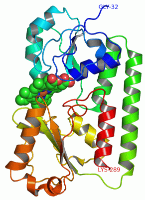 Image Asym./Biol. Unit - manually