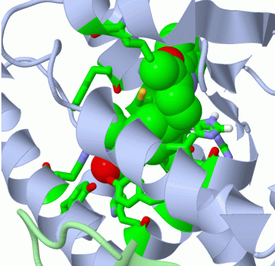 Image Asym./Biol. Unit - manually