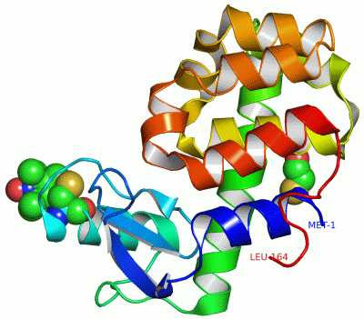 Image Asym./Biol. Unit - manually