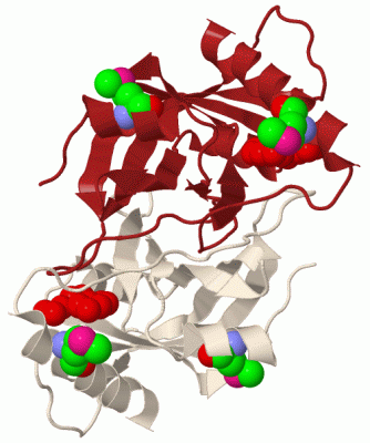 Image Biol.Unit 1 - manually