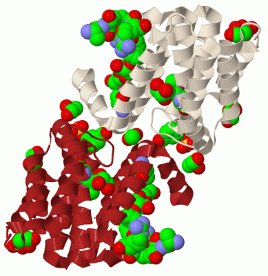 Image Biol.Unit 1 - manually