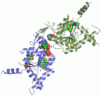 Image Asym./Biol. Unit - manually