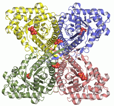 Image Asym./Biol. Unit - manually