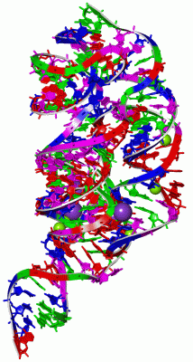 Image Asym./Biol. Unit - manually